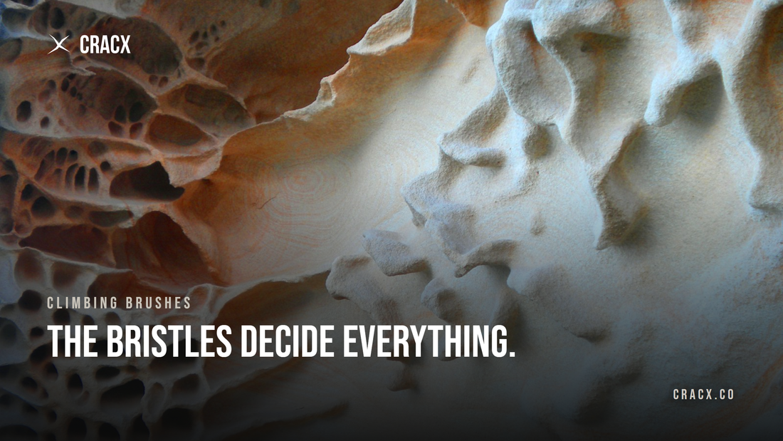 Weathered honeycombed sandstone, the rock most vulnerable to hard brush bristles
