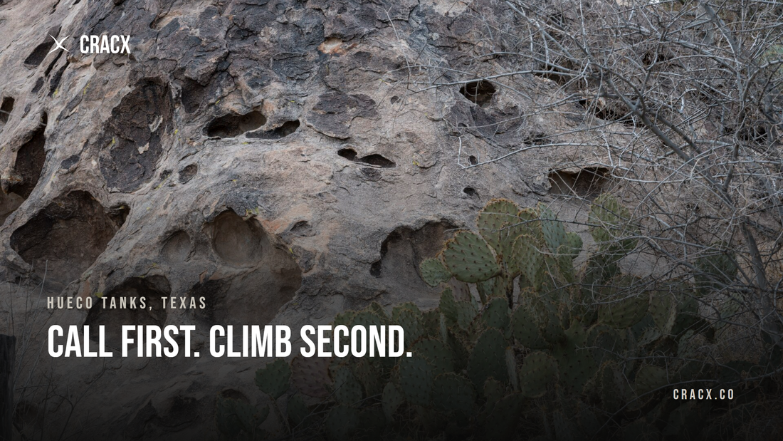 Grey rock wall pocked with deep huecos above a clump of prickly pear cactus at Hueco Tanks State Park and Historic Site near El Paso, Texas
