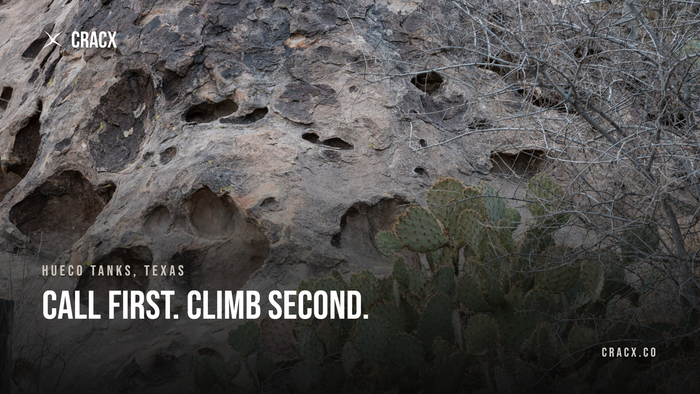 Grey rock wall pocked with deep huecos above a clump of prickly pear cactus at Hueco Tanks State Park and Historic Site near El Paso, Texas