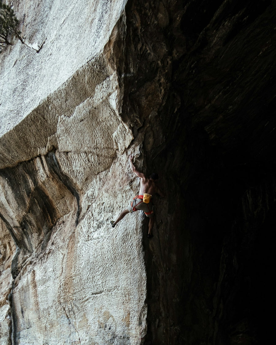 The grip