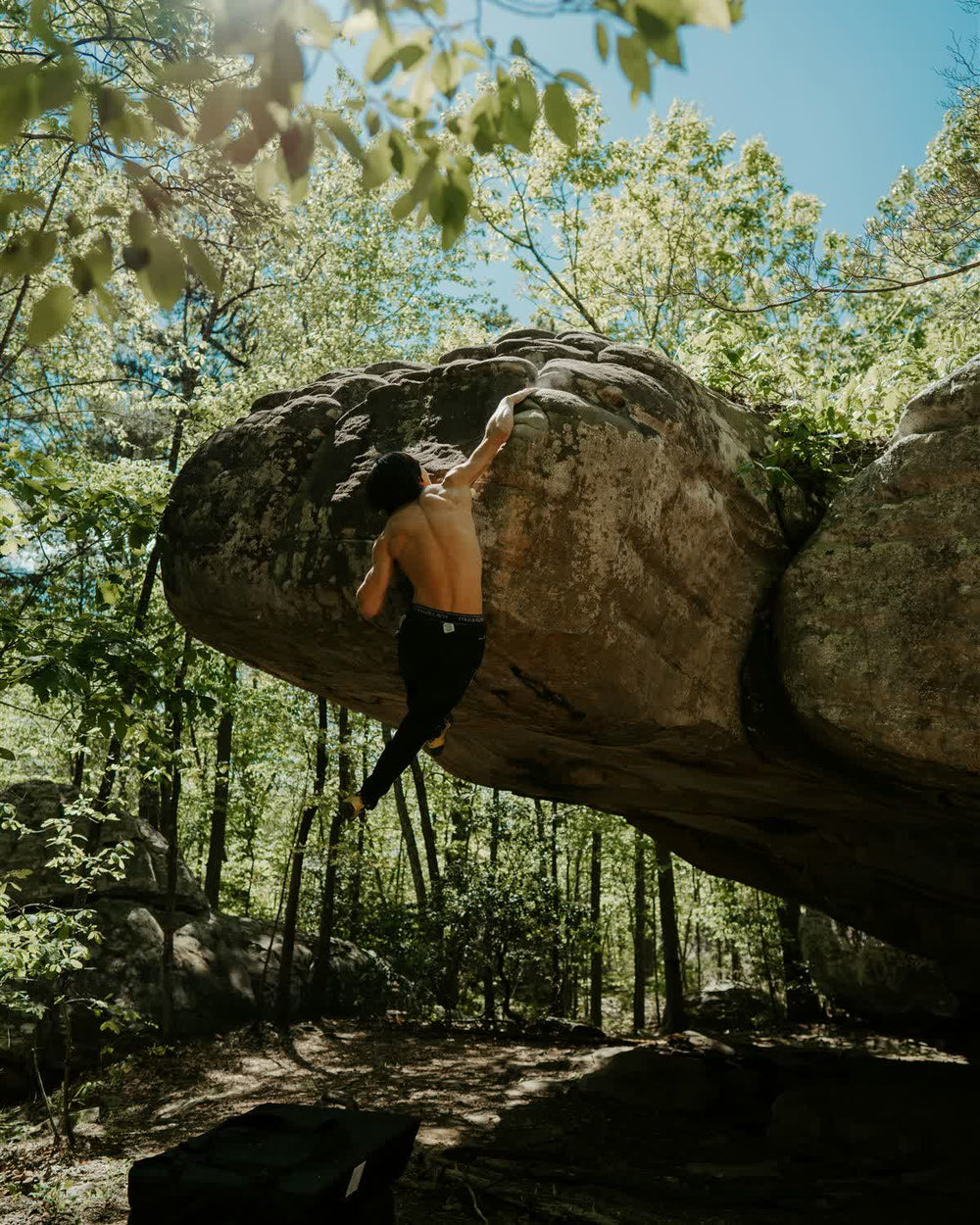 A boulderer high on a forest block, surrounded by trees